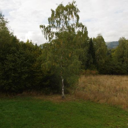 Отель Magiczne Bieszczady - Smerek 86 Цисна Экстерьер фото